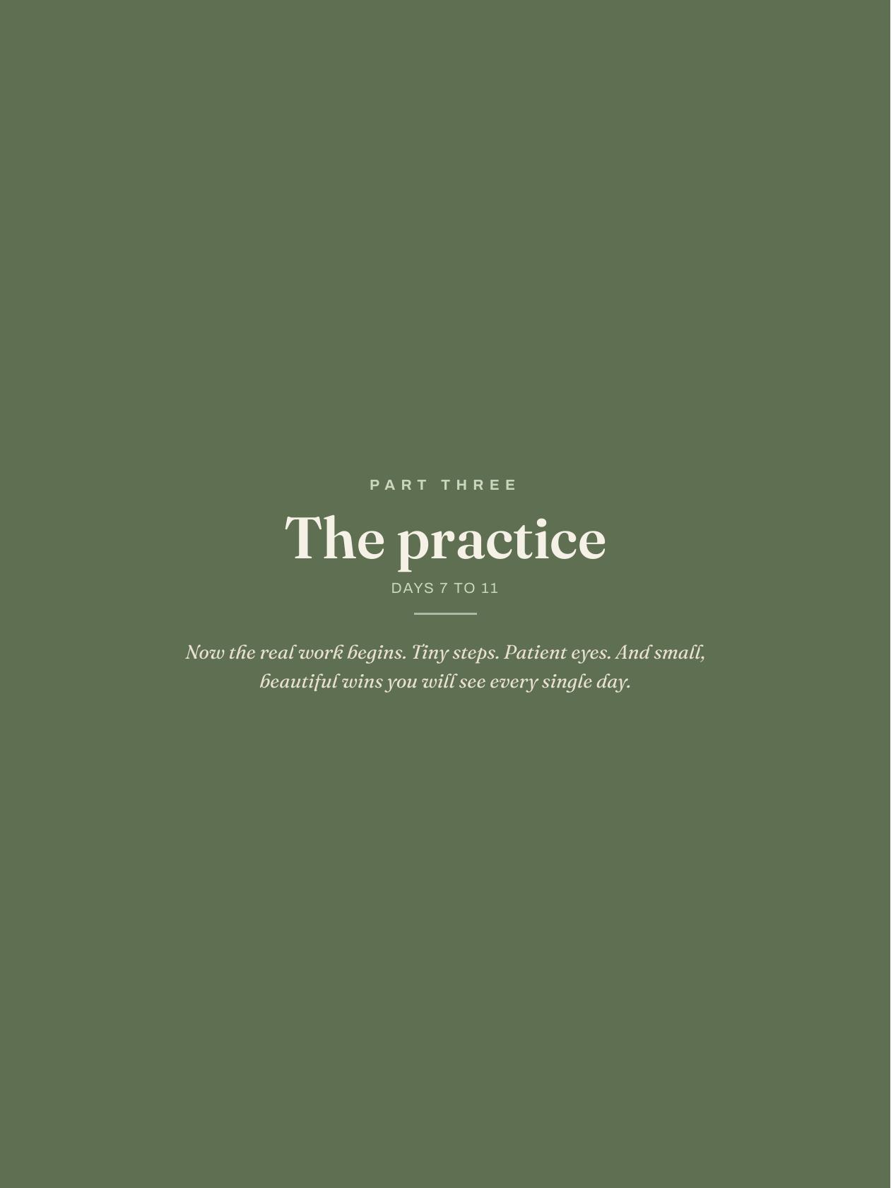 A part divider from the handbook.